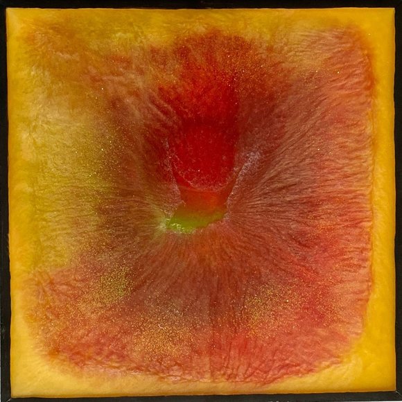 Original Art “Hibiscus Nova” Resin Artwork Painting by Tristina Dietz Elmes 6x6" - Picture 1 of 5
